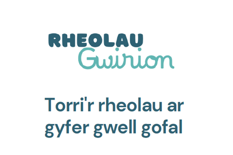 Rheolau Gwirion