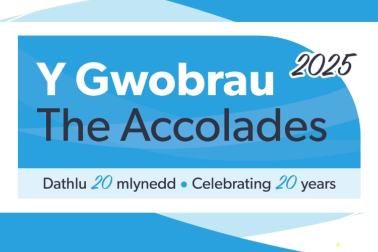 the accolades 2025 awards